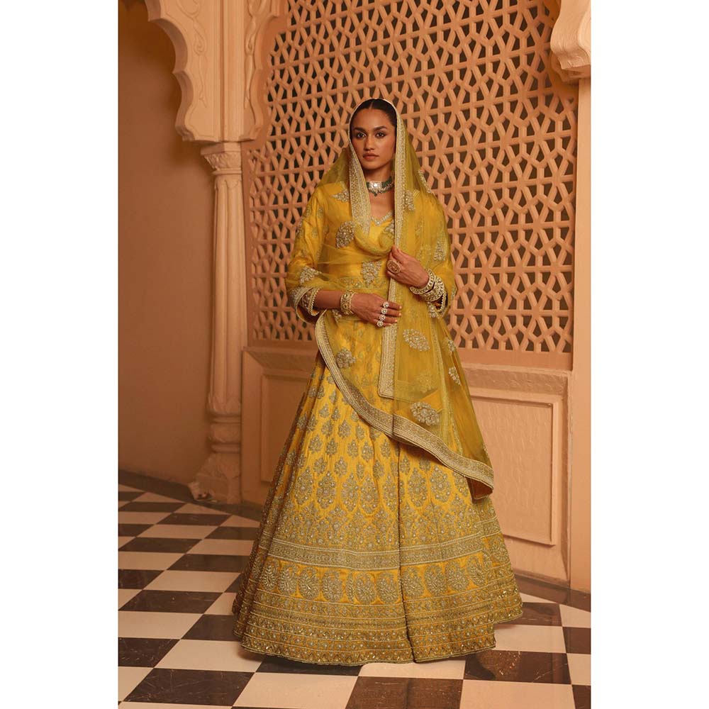 Sheetal Batra Noorali Mustard Lehenga with Choli and Dupatta (Set of 3)