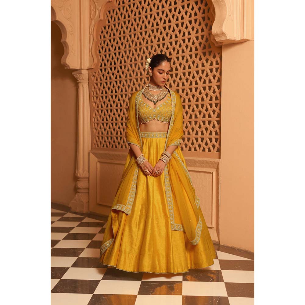 Sheetal Batra Mazhum Mustard Lehenga with Blouse and Dupatta (Set of 3)