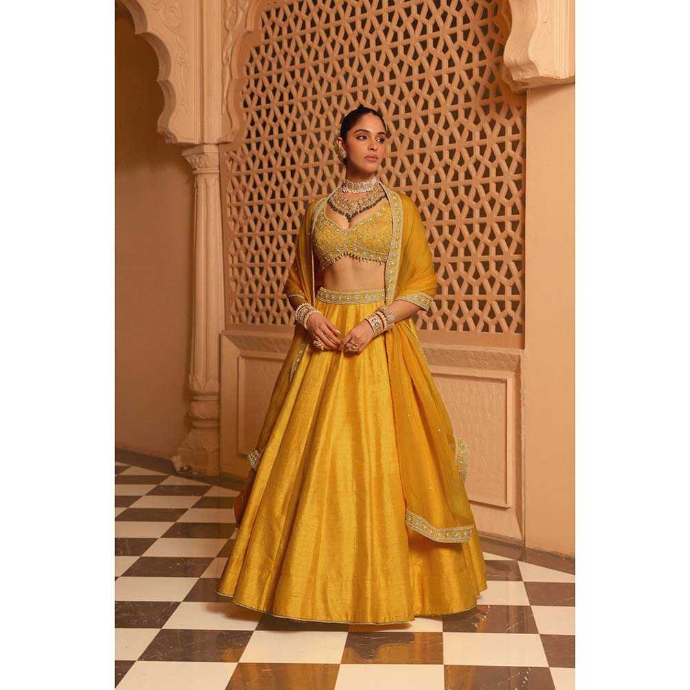 Sheetal Batra Mazhum Mustard Lehenga with Blouse and Dupatta (Set of 3)