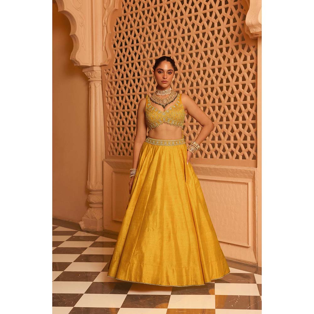 Sheetal Batra Mazhum Mustard Lehenga with Blouse and Dupatta (Set of 3)