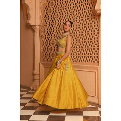 Sheetal Batra Mazhum Mustard Lehenga with Blouse and Dupatta (Set of 3)