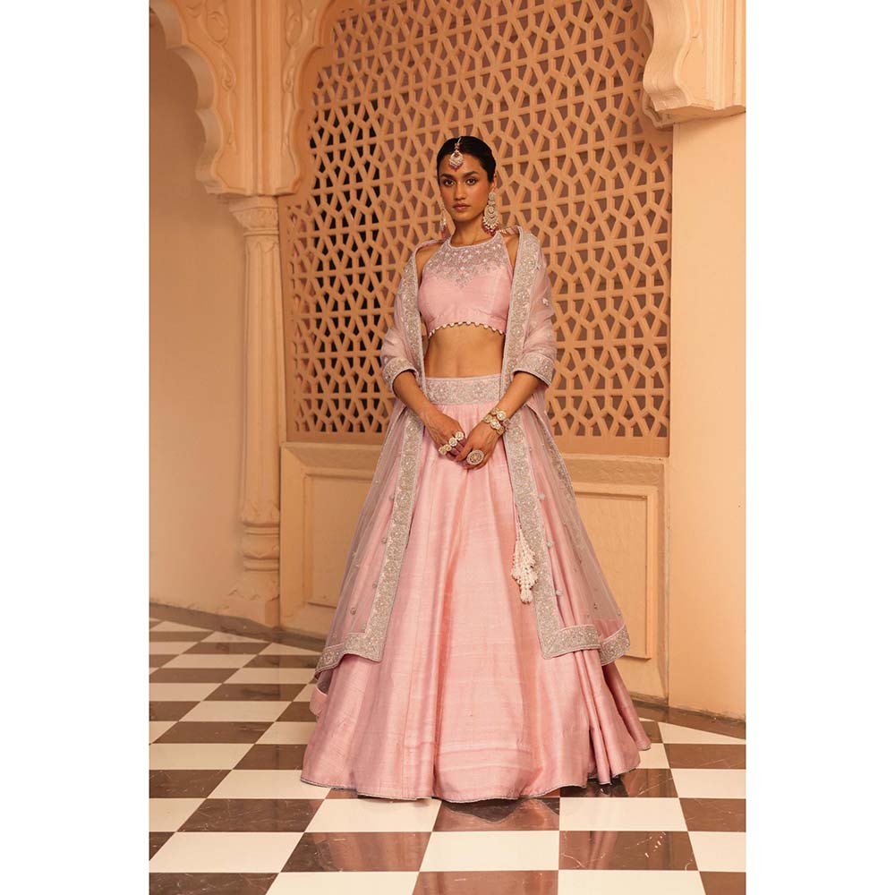 Sheetal Batra Humeyra Rose-Pink Lehenga with Blouse and Dupatta (Set of 3)