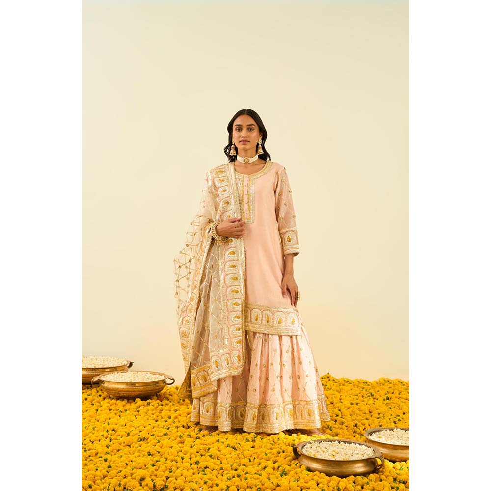 Sheetal Batra Pink Kurta with Sharara and Dupatta (Set of 3)