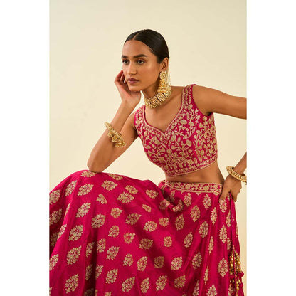 Sheetal Batra Pink Lehenga with Blouse, Dupatta and Belt (Set of 3)