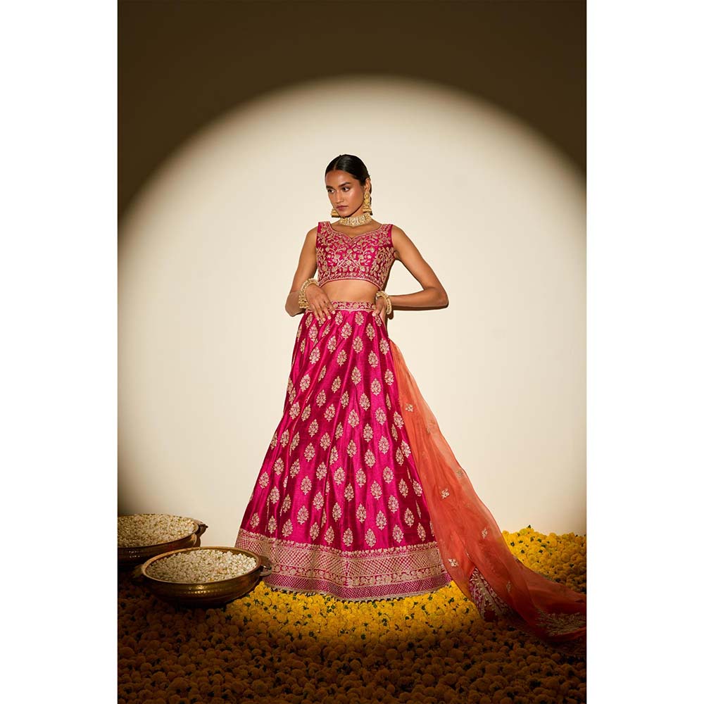Sheetal Batra Pink Lehenga with Blouse, Dupatta and Belt (Set of 3)