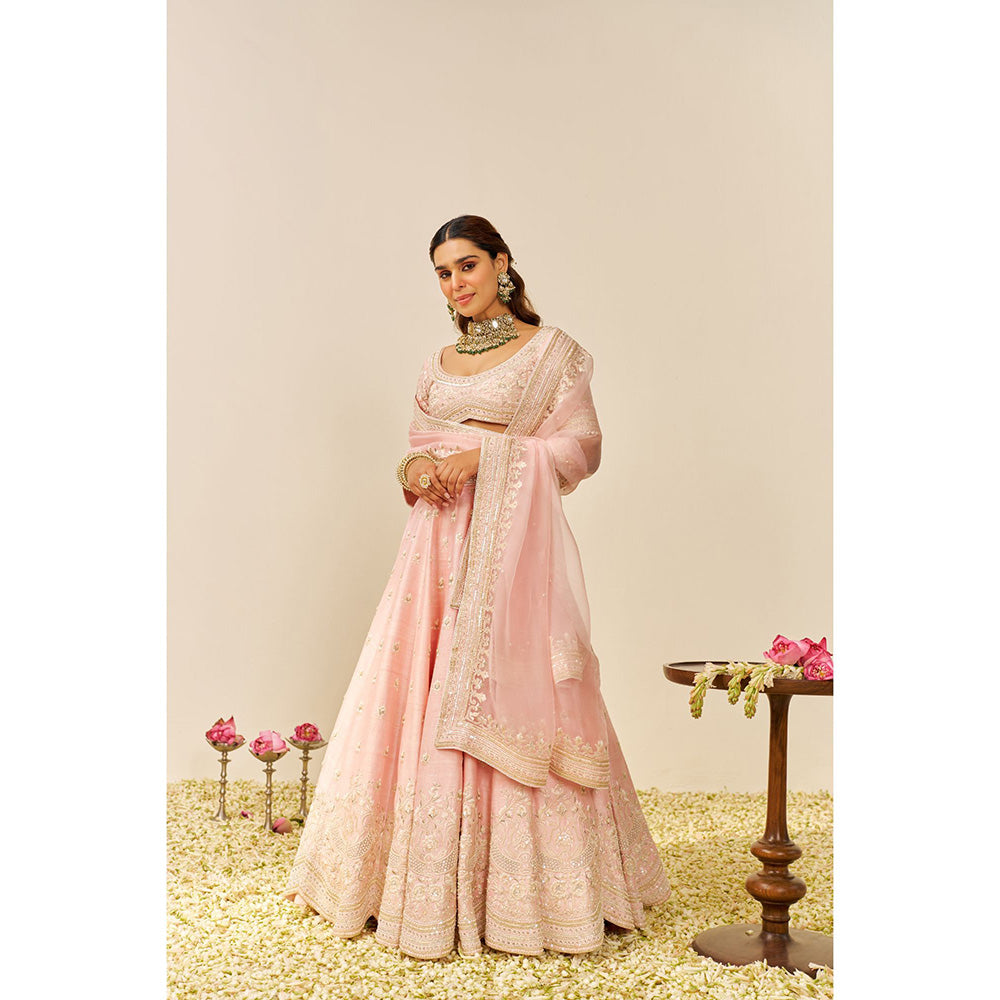 Sheetal Batra Pink Fida Lehenga with Blouse and Dupatta (Set of 3)