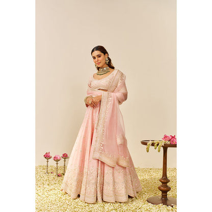 Sheetal Batra Pink Fida Lehenga with Blouse and Dupatta (Set of 3)