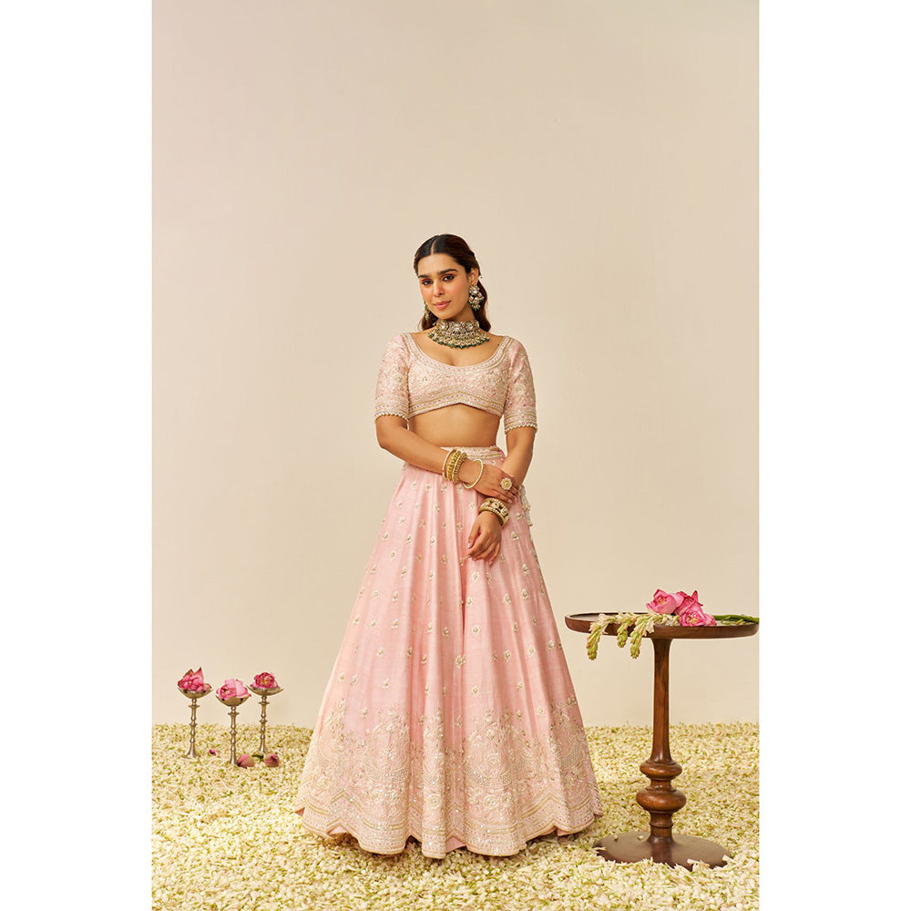Sheetal Batra Pink Fida Lehenga with Blouse and Dupatta (Set of 3)