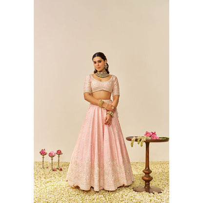 Sheetal Batra Pink Fida Lehenga with Blouse and Dupatta (Set of 3)