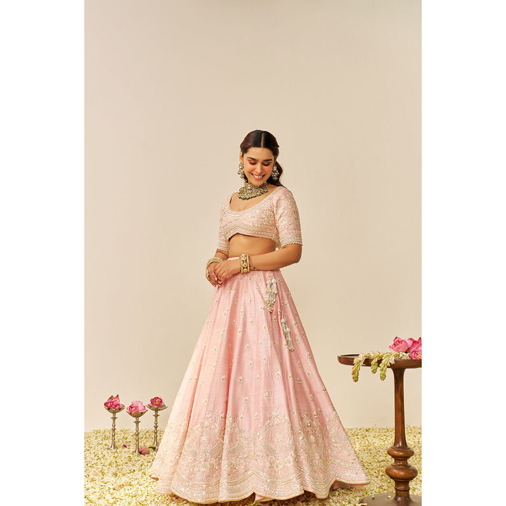 Sheetal Batra Pink Fida Lehenga with Blouse and Dupatta (Set of 3)