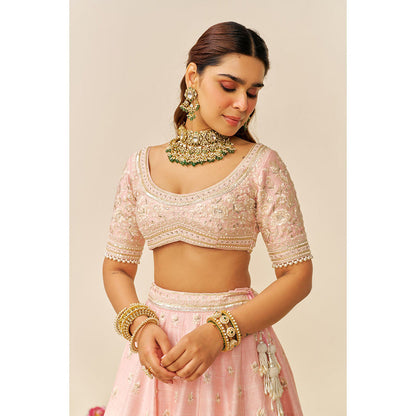 Sheetal Batra Pink Fida Lehenga with Blouse and Dupatta (Set of 3)