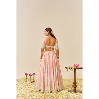 Sheetal Batra Pink Fida Lehenga with Blouse and Dupatta (Set of 3)