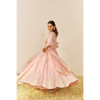 Sheetal Batra Pink Fida Lehenga with Blouse and Dupatta (Set of 3)