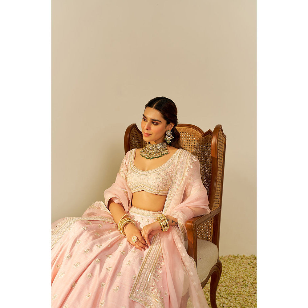 Sheetal Batra Pink Fida Lehenga with Blouse and Dupatta (Set of 3)
