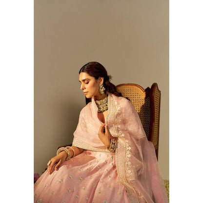 Sheetal Batra Pink Fida Lehenga with Blouse and Dupatta (Set of 3)
