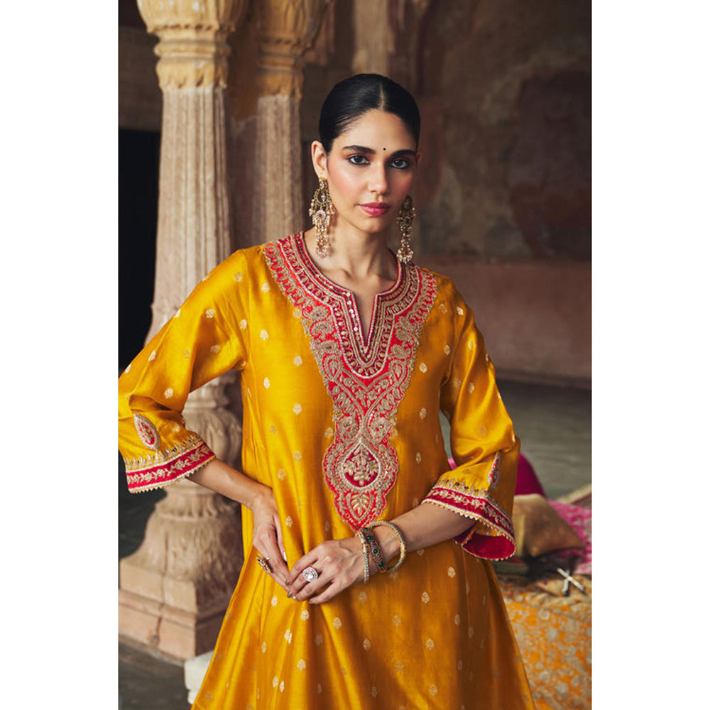 Sheetal Batra Hafsa - Mustard Chauga With Salwar