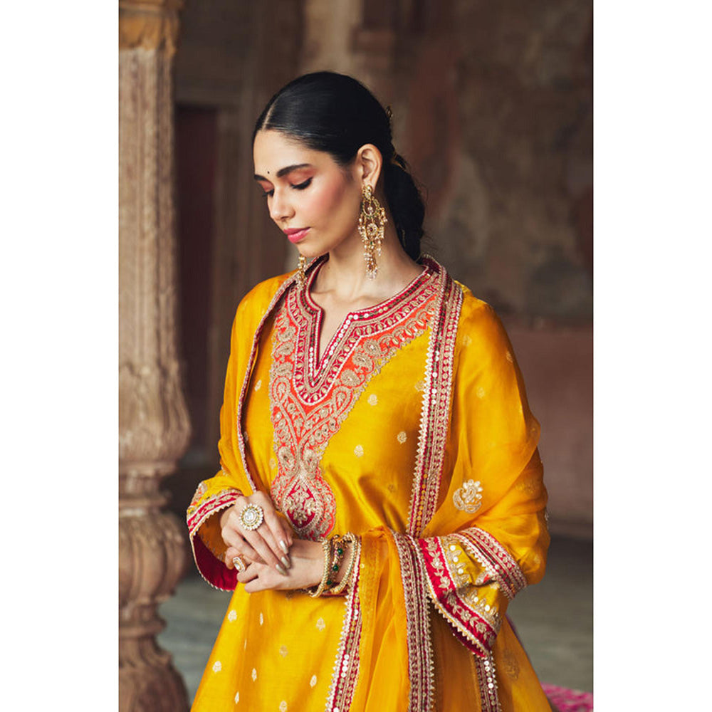Sheetal Batra Hafsa - Mustard Chauga With Salwar