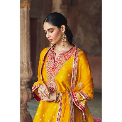 Sheetal Batra Hafsa - Mustard Chauga With Salwar