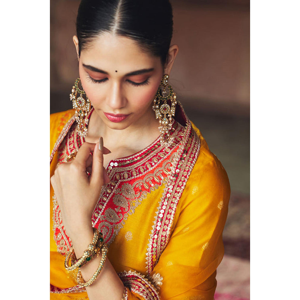 Sheetal Batra Hafsa - Mustard Chauga With Salwar And Dupatta