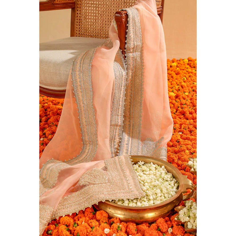 Sheetal Batra Embroidered Silk Organza Dupatta