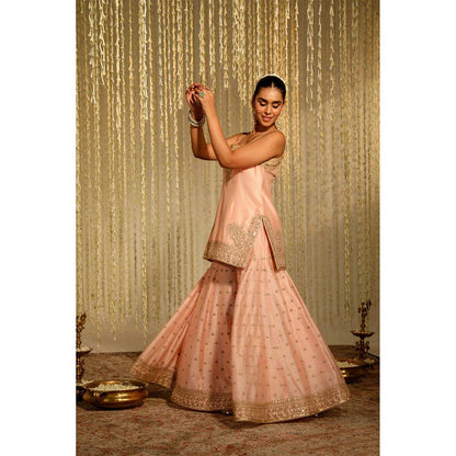 Sheetal Batra Aabroo - Rose Pink Short Kurta With Sharara And Dupatta