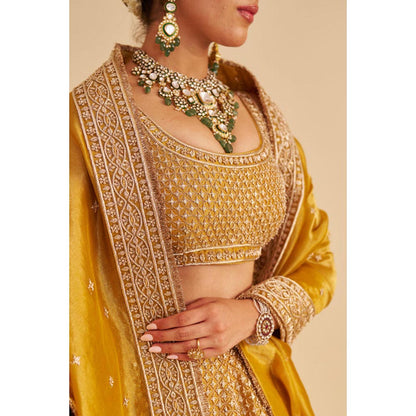 Sheetal Batra Aashina Mustard Lehenga With Blouse And Dupatta Set