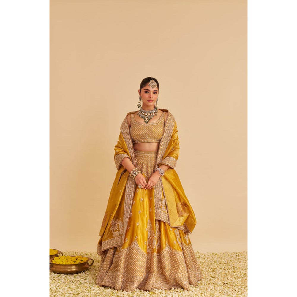 Sheetal Batra Aashina Mustard Lehenga With Blouse And Dupatta Set