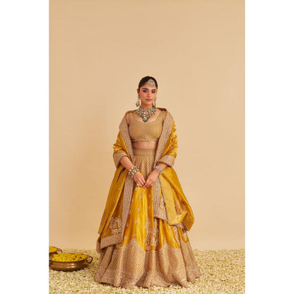 Sheetal Batra Aashina Mustard Lehenga With Blouse And Dupatta Set