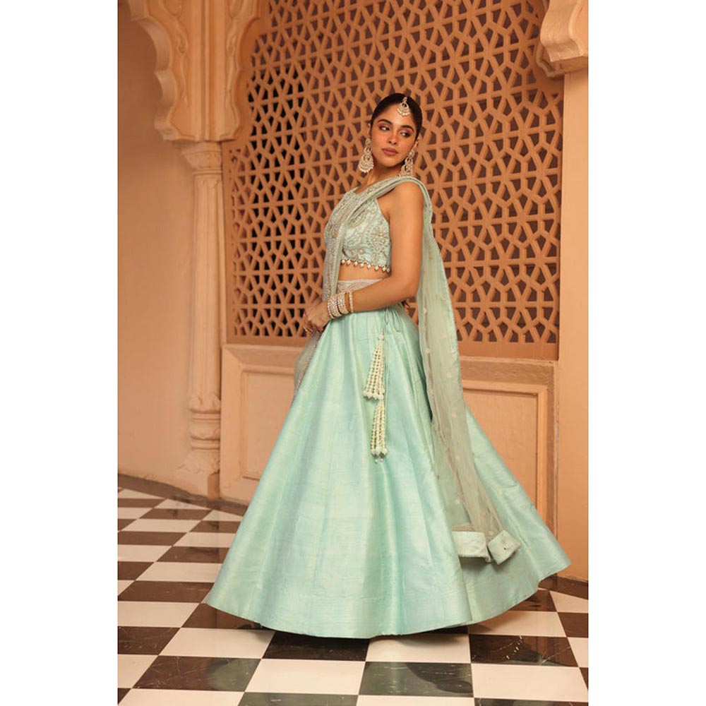 Sheetal Batra Afsa - Misty Green Lehenga With Blouse And Dupatta Set