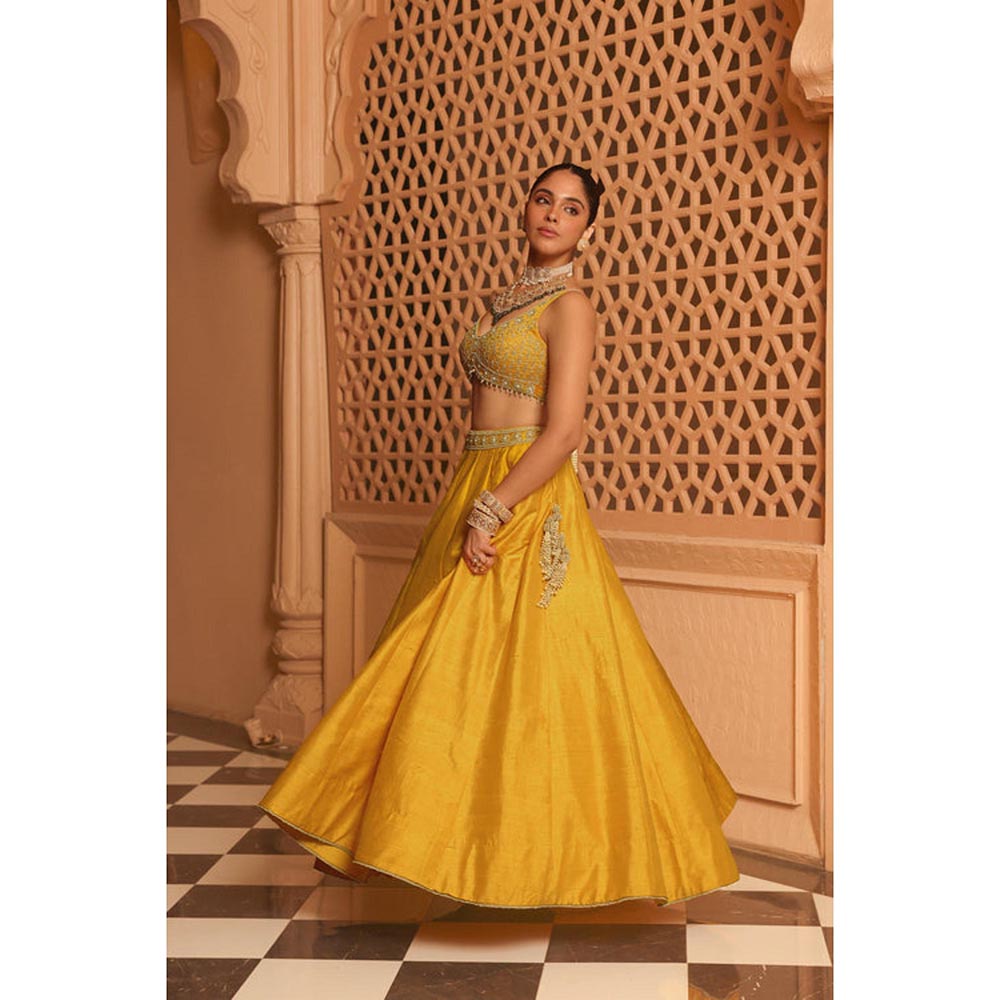 Sheetal Batra Mazhum - Mustard Lehenga With Blouse And Dupatta Set