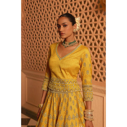 Sheetal Batra Noorali - Mustard Lehenga With Choli Blouse And Dupatta Set
