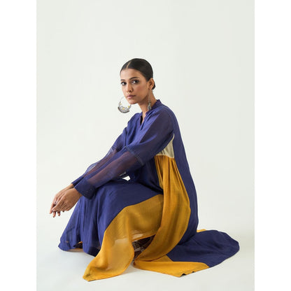 Shivani Bhargava Blue Urvi Embroidered Side Gather Kurta with Pant and Dupatta (Set of 3)