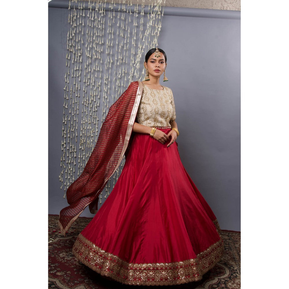Shweta Dabas Pink Silk Lehenga with Choli and Dupatta (Set of 3)