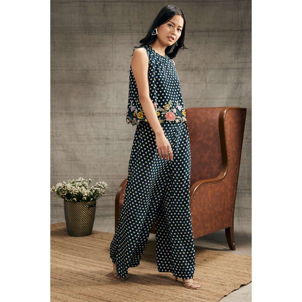 Soup by Sougat Paul Gulista Embroidered Co-Ord (Set of 2)