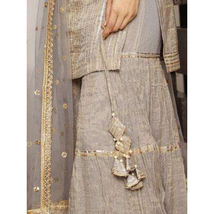 Spring Soul Grey Metallic Chanderi Sharara with Kurta and Dupatta (Set of 3)