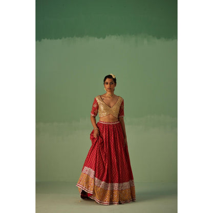 Surbhi Gupta Red Lehenga with Blouse and Dupatta (Set of 3)