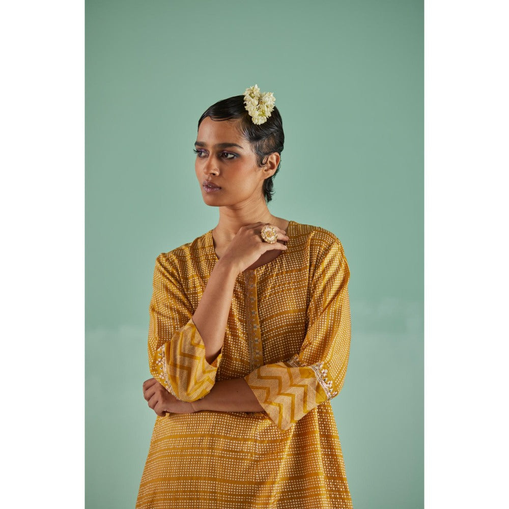 Surbhi Gupta Ochre A-Line Kurta and Pant (Set of 2)