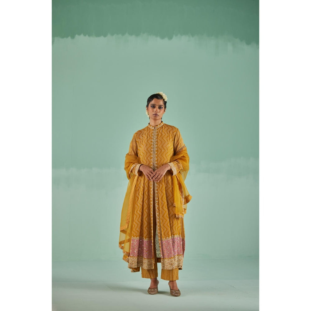 Surbhi Gupta Ochre Anarkali with Pant and Dupatta (Set of 4)