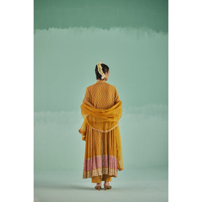 Surbhi Gupta Ochre Anarkali with Pant and Dupatta (Set of 4)