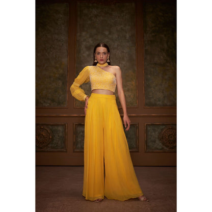 Suruchi Parakh Womens Yellow Embellished Co-ord (Set of 2)
