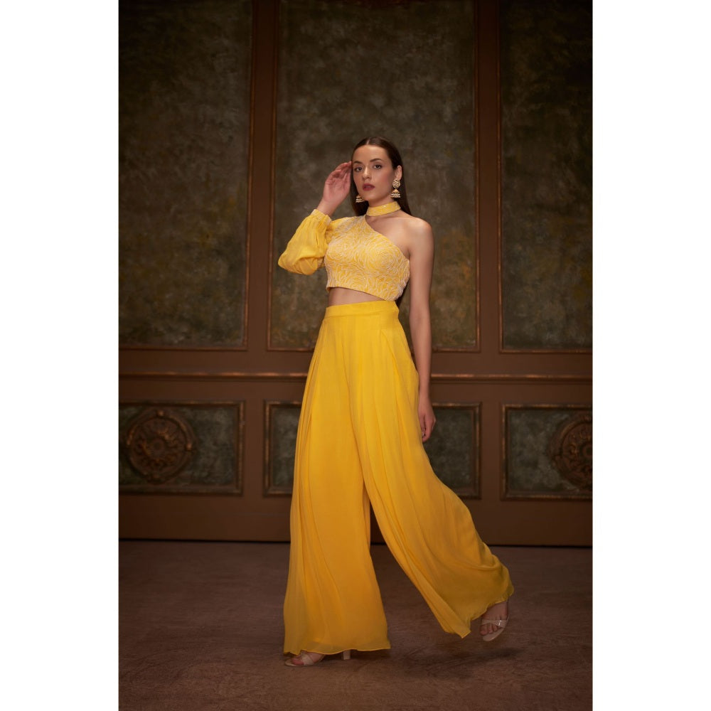 Suruchi Parakh Womens Yellow Embellished Co-ord (Set of 2)