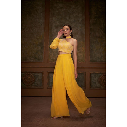 Suruchi Parakh Womens Yellow Embellished Co-ord (Set of 2)