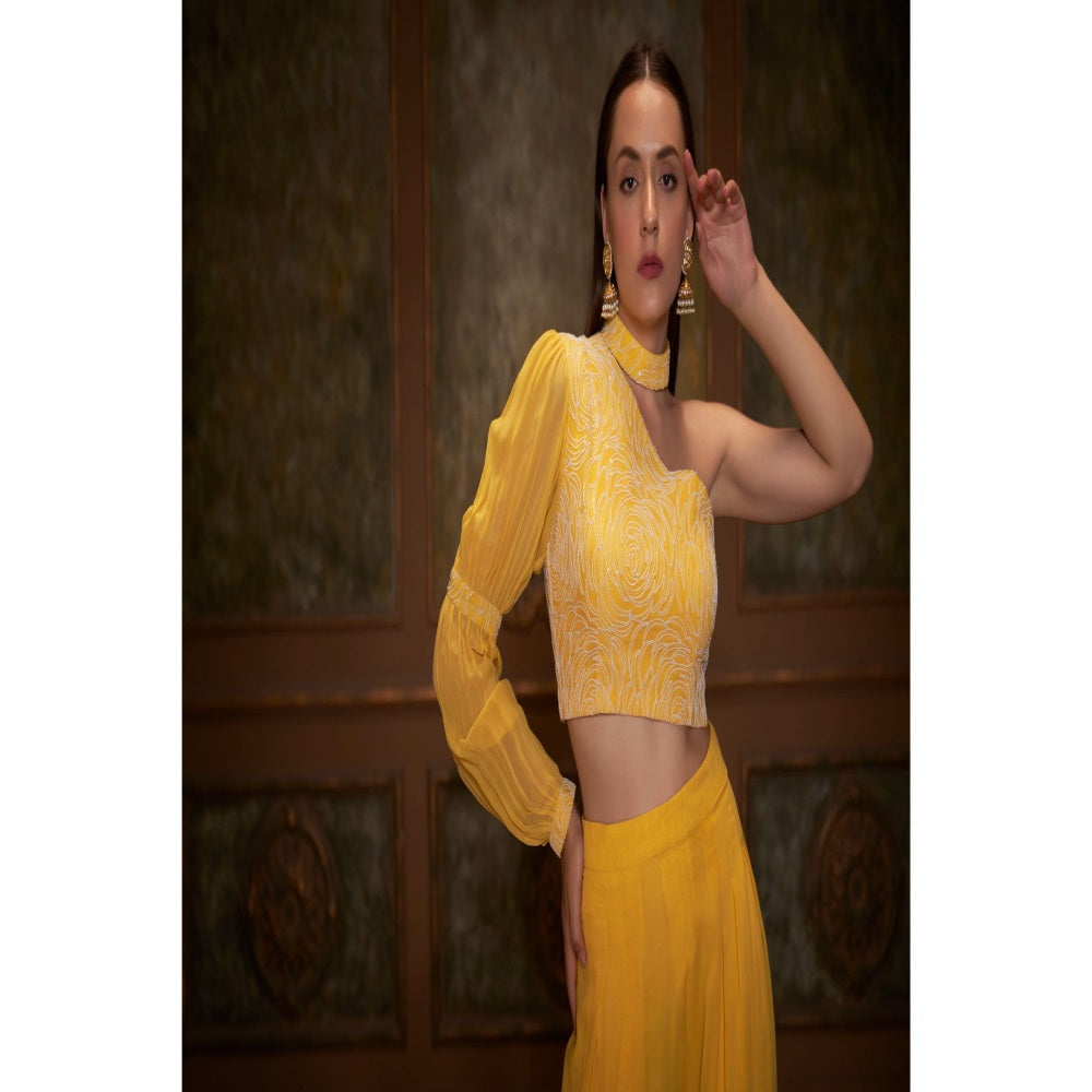 Suruchi Parakh Womens Yellow Embellished Co-ord (Set of 2)