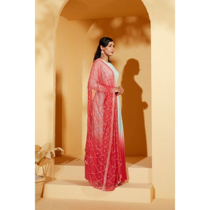 Suruchi Parakh Womens Ombre Anarkali Kurta and Dupatta (Set of 2)