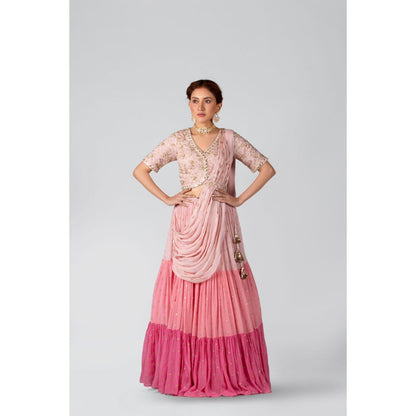 Suruchi Parakh Womens Pink Embellished Top and Skirt (Set of 3)