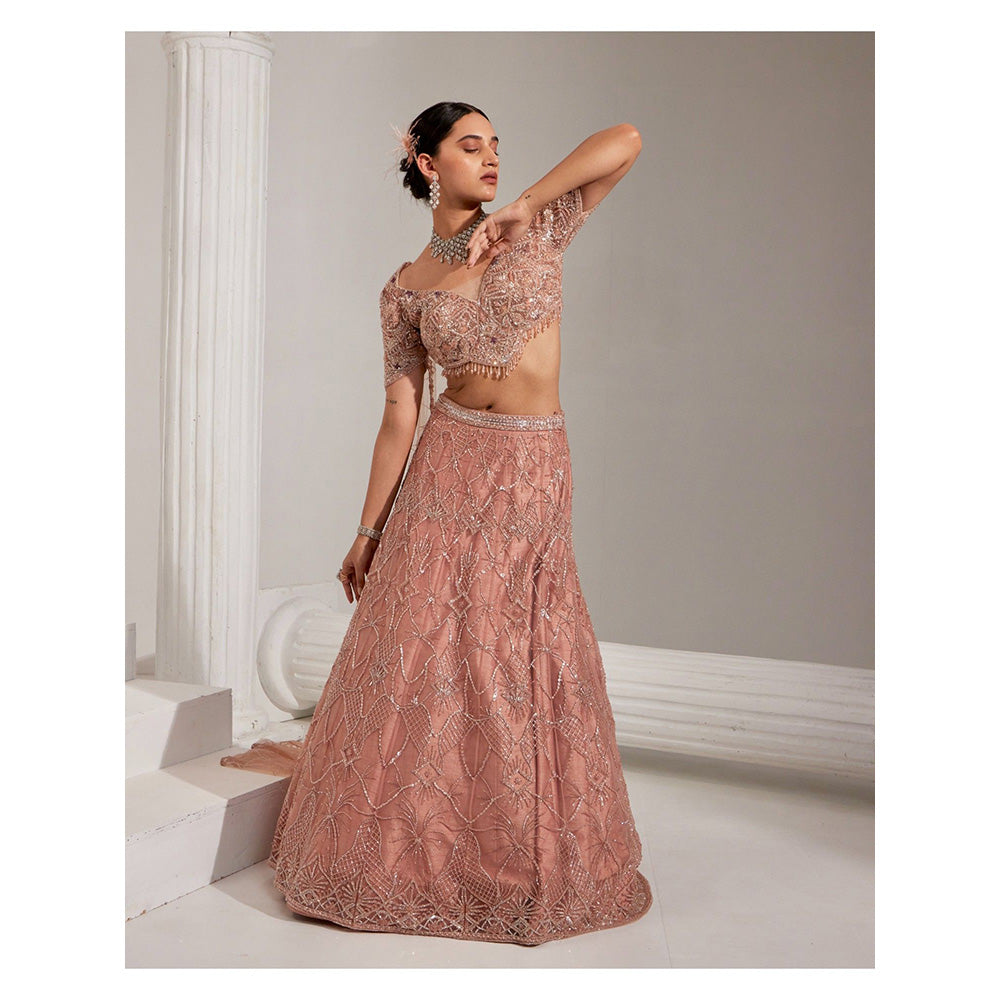 Swati Wadhwani Naaz Embellished Lehenga and Blouse with Dupatta (Set of 3)