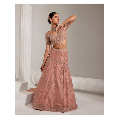 Swati Wadhwani Naaz Embellished Lehenga and Blouse with Dupatta (Set of 3)