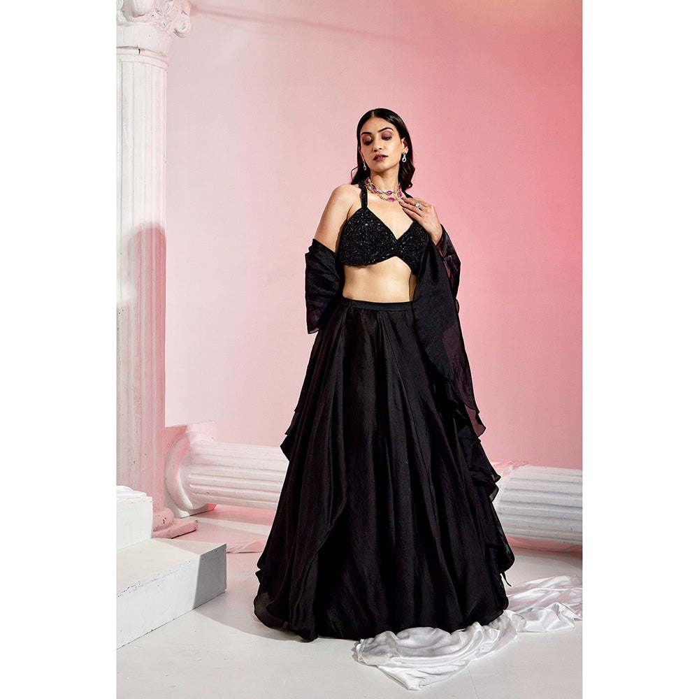 Swati Wadhwani Inayat Crystal Beaded Blouse with Lehenga and Dupatta (Set of 3)
