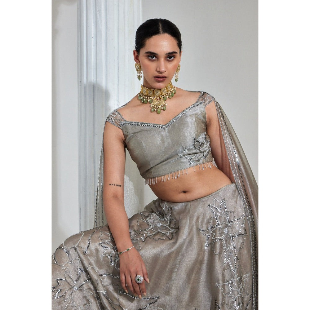 Swati Wadhwani Adiba Metallic Embellished Blouse with Lehenga and Dupatta (Set of 3)