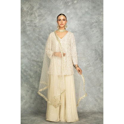 Tanu Malhotra Ivory Organza Embroidered Palazzo with Top and Dupatta (Set of 3)
